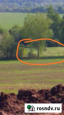 Участок СНТ, ДНП 52 сот. на продажу в Ржанице Ржаница - изображение 1