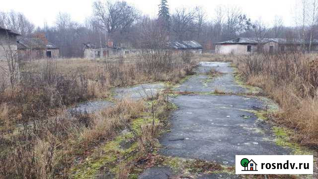 Участок промназначения 330 сот. на продажу в Гвардейске Гвардейск - изображение 1