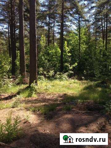 Участок ИЖС 10 сот. на продажу в Приморске Ленинградской области Приморск - изображение 1