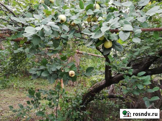 Участок ИЖС 21 сот. на продажу в Новотитаровской Новотитаровская - изображение 1