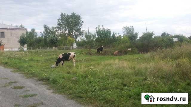 Участок ИЖС 23 сот. на продажу в Южноуральске Южноуральск - изображение 1