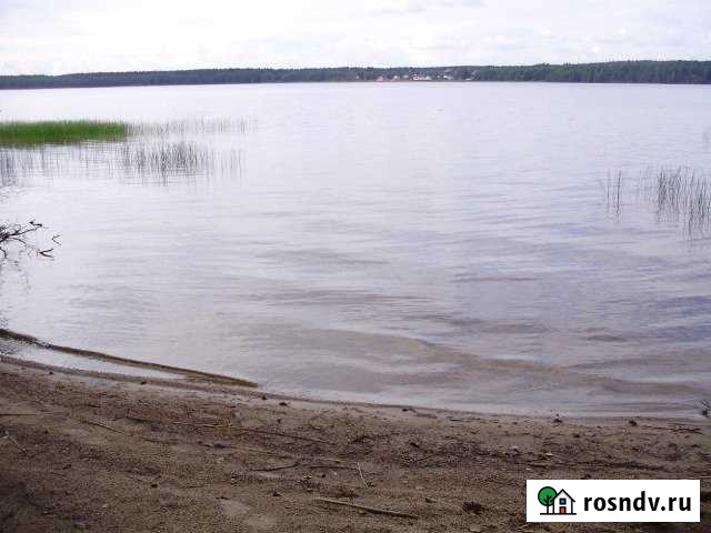 Участок СНТ, ДНП 490 сот. на продажу в Сертолово Сертолово - изображение 1