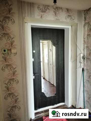 1-комнатная квартира, 28 м², 5/5 эт. на продажу на Острове Остров - изображение 1