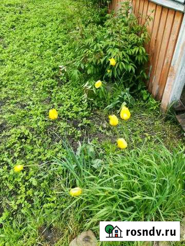 Участок СНТ, ДНП 6 сот. на продажу в Коврове Ковров - изображение 1