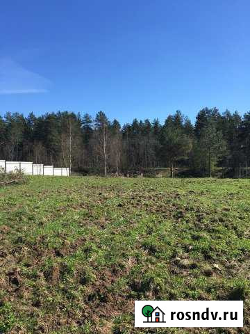 Участок СНТ, ДНП 20 сот. на продажу в Будогощи Будогощь - изображение 1