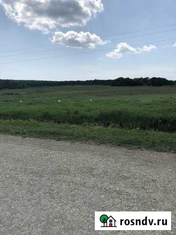 Участок СНТ, ДНП 880 сот. на продажу в Новоукраинском Краснодарского края Новоукраинский - изображение 1