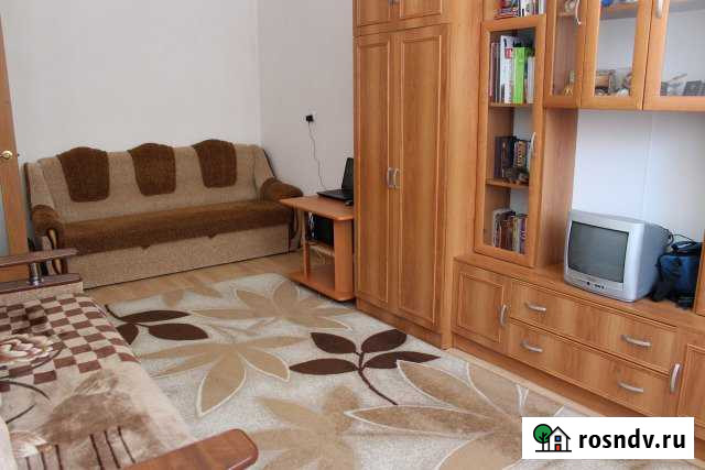 1-комнатная квартира, 31 м², 2/5 эт. на продажу в Троицке Челябинской области Троицк - изображение 1