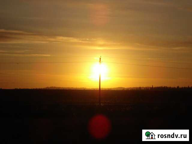 Участок СНТ, ДНП 210 сот. в аренду в Перми Пермь - изображение 1