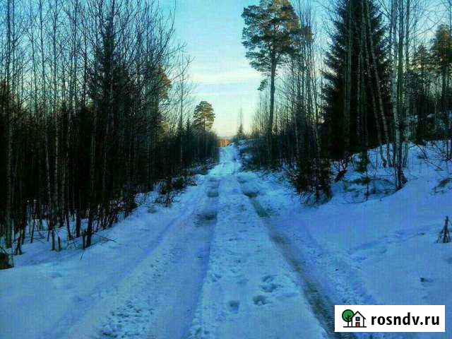 Участок СНТ, ДНП 12 сот. на продажу в Исети Исеть - изображение 1