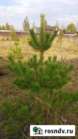 Дача 135 м² на участке 11 сот. на продажу в Глебовском Глебовский - изображение 1