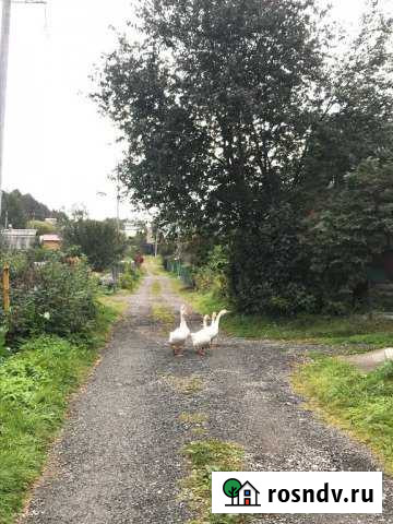 Участок СНТ, ДНП 9 сот. на продажу в Монетном Монетный - изображение 1