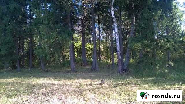 Участок СНТ, ДНП 10 сот. на продажу в Менделеево Московской области Менделеево - изображение 1