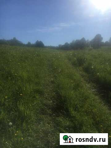 Участок СНТ, ДНП 400 сот. на продажу в Кингисеппе Кингисепп - изображение 1