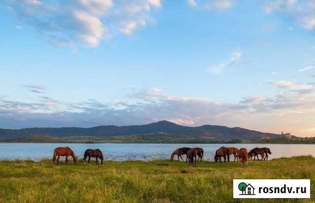 Участок ИЖС 16 сот. на продажу в Курьей Курья - изображение 1