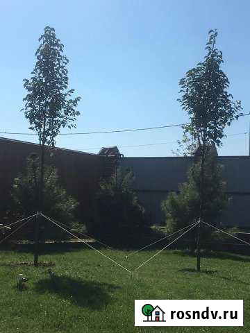 Участок СНТ, ДНП 8 сот. на продажу в Кировской Кировская - изображение 1