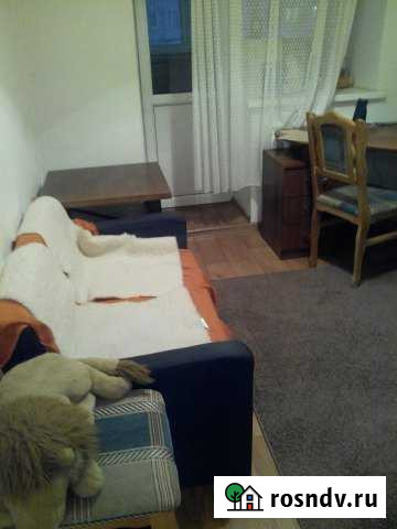 1-комнатная квартира, 46 м², 1/12 эт. в аренду на длительный срок в Краснообске Краснообск - изображение 1