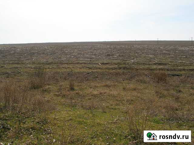 Участок СНТ, ДНП 250 сот. на продажу в Черноморском Республики Крым Черноморское - изображение 1