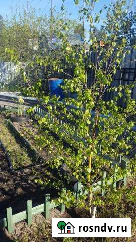 Дача 20 м² на участке 6 сот. на продажу в Лянторе Лянтор - изображение 1