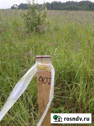 Участок СНТ, ДНП 100 сот. на продажу в Зубцове Зубцов - изображение 1