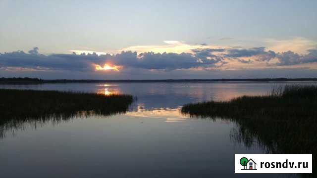 Участок ИЖС 34 сот. на продажу в Новосокольниках Новосокольники - изображение 1