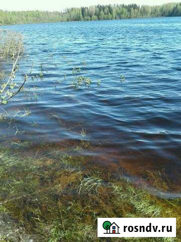 Участок ИЖС 45 сот. на продажу в Пено Пено - изображение 1