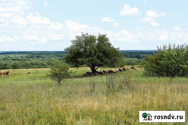Участок СНТ, ДНП 10000 сот. в аренду в Поварово Поварово - изображение 1