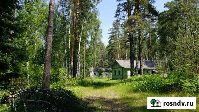 Помещение свободного назначения, 317 кв.м. Владимир - изображение 1