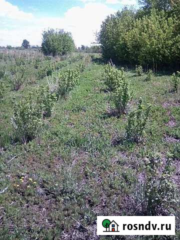 Участок СНТ, ДНП 700 сот. на продажу в Бийске Бийск - изображение 1