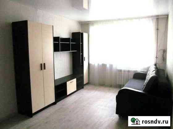 1-комнатная квартира, 30 м², 1/5 эт. в аренду на длительный срок в Дзержинске Дзержинск