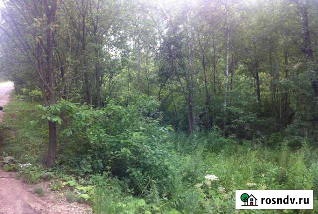 Участок СНТ, ДНП 516 сот. на продажу в Химках Химки - изображение 1