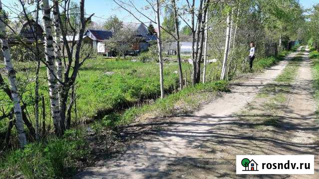 Участок СНТ, ДНП 6 сот. на продажу в Толмачево Ленинградской области Толмачево - изображение 1