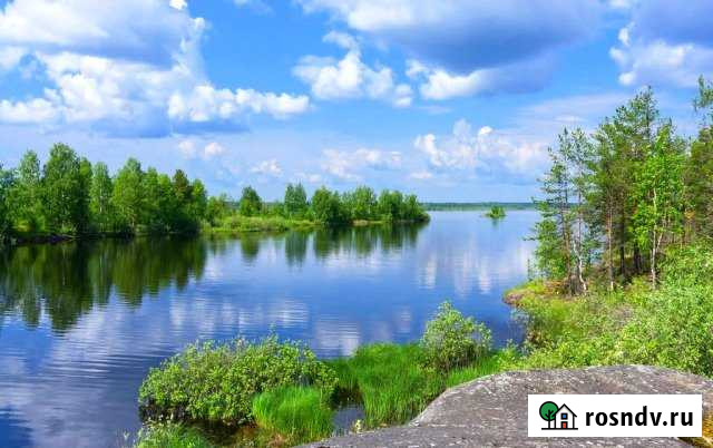Участок СНТ, ДНП 10 сот. на продажу в Кондопоге Кондопога - изображение 1