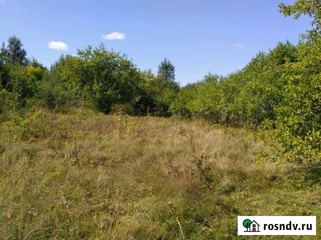 Участок ИЖС 48 сот. на продажу в Воскресенском Нижегородской области Воскресенское - изображение 1