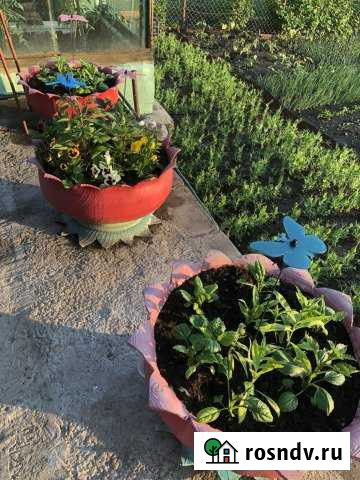 Дача 25 м² на участке 5.9 сот. на продажу в Усть-Илимске Усть-Илимск - изображение 1