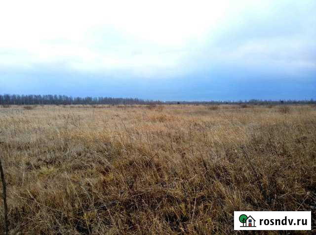 Участок СНТ, ДНП 400 сот. на продажу в Синявино Синявино - изображение 1