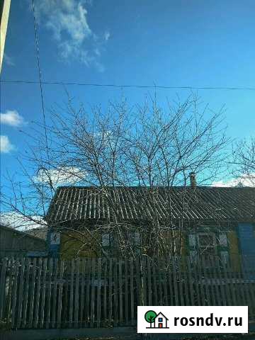 Дом 52 м² на участке 22 сот. на продажу в Бограде Боград - изображение 1