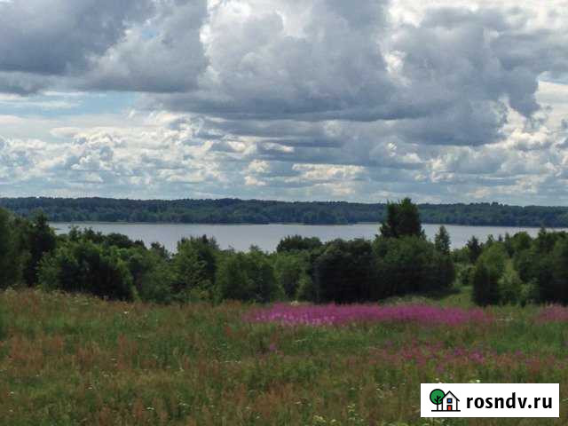 Участок СНТ, ДНП 100 сот. на продажу в Дедовичах Дедовичи - изображение 1