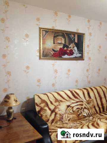 1-комнатная квартира, 41 м², 7/9 эт. в аренду посуточно в Снежинске Снежинск - изображение 1