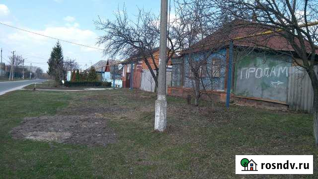 Дом 40 м² на участке 10 сот. на продажу в Грайвороне Грайворон - изображение 1