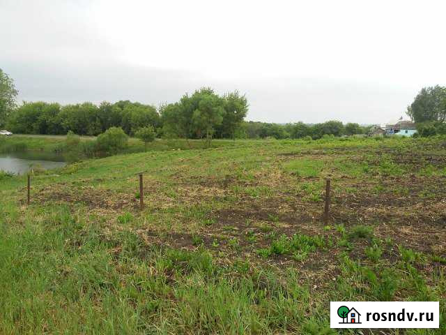 Участок ИЖС 26 сот. на продажу в Короче Короча - изображение 1