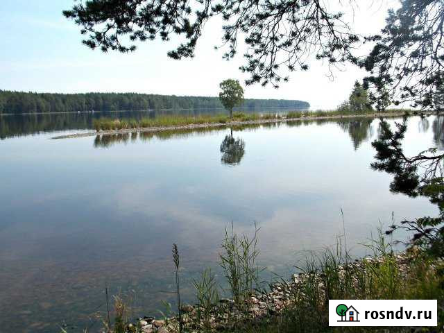 Участок СНТ, ДНП 10 сот. на продажу в Кондопоге Кондопога - изображение 1