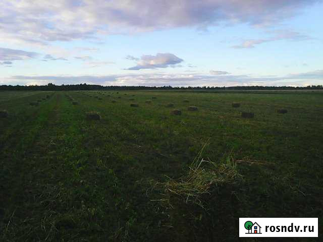 Участок СНТ, ДНП 4300 сот. на продажу в Кузоватово Кузоватово - изображение 1