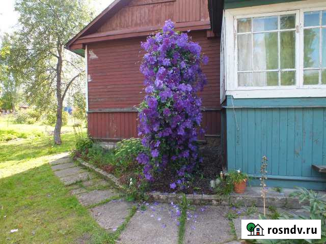 Дом 110 м² на участке 15 сот. на продажу в Стругах Красных Струги Красные - изображение 1