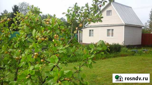 Дача 55 м² на участке 12 сот. на продажу в Мге Мга - изображение 1