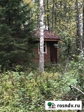 Участок СНТ, ДНП 30 сот. на продажу в Лахденпохье Лахденпохья - изображение 1