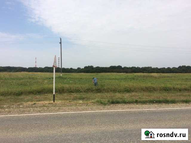 Участок СНТ, ДНП 1600 сот. на продажу в Белореченске Белореченск - изображение 1