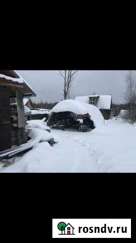 Участок СНТ, ДНП 1630 сот. на продажу в Отрадном Ленинградской области Отрадное - изображение 1