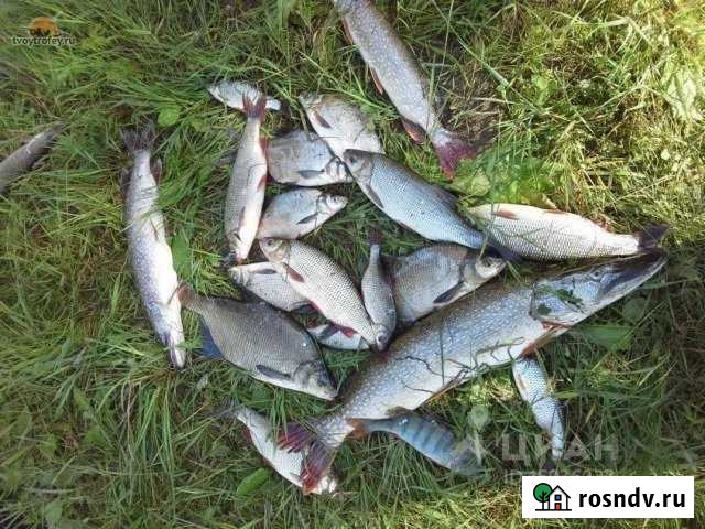 Дом 50 м² на участке 16 сот. на продажу в Горном Новосибирской области Горный - изображение 1