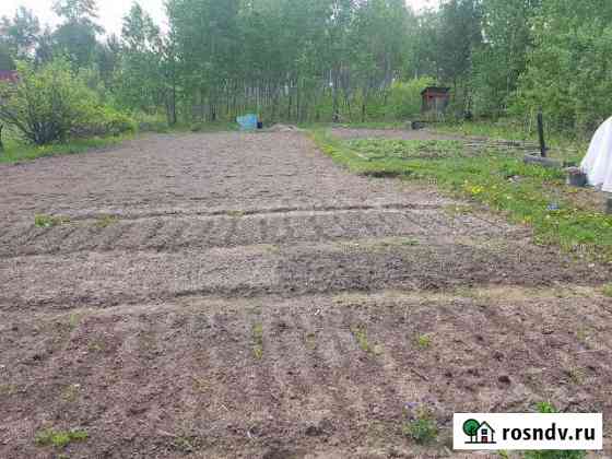 Участок СНТ, ДНП 8 сот. на продажу в Злынке Злынка