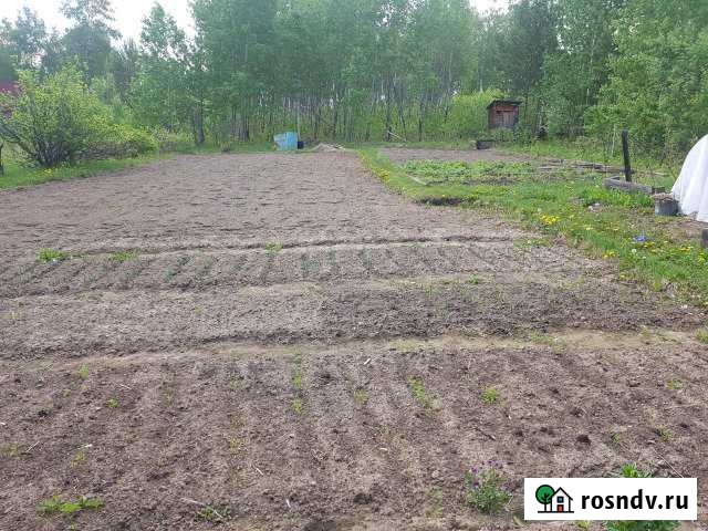 Участок СНТ, ДНП 8 сот. на продажу в Злынке Злынка - изображение 1